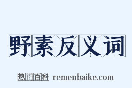 野素反义词是什么意思的图片